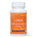 Ashwagandha Jiva, 120 compresse