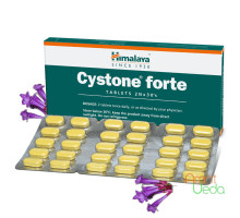 Cystone Forte, 60 compresse