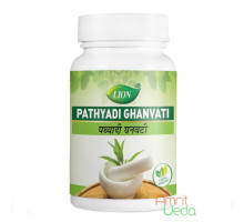 Pathyadi estratto, 100 compresse