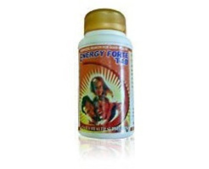 Energy forte Shri Ganga, 100 tablets