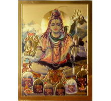 Magnete Shiva (Magnet Shiva)