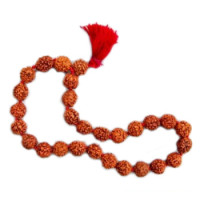 Rudraksha bracelet small, 27 beads