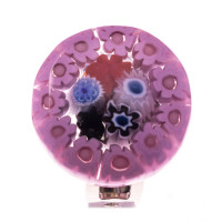 Ring model 684
